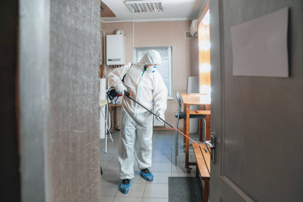 Best Industrial Mold Remediation  in Rugby, ND